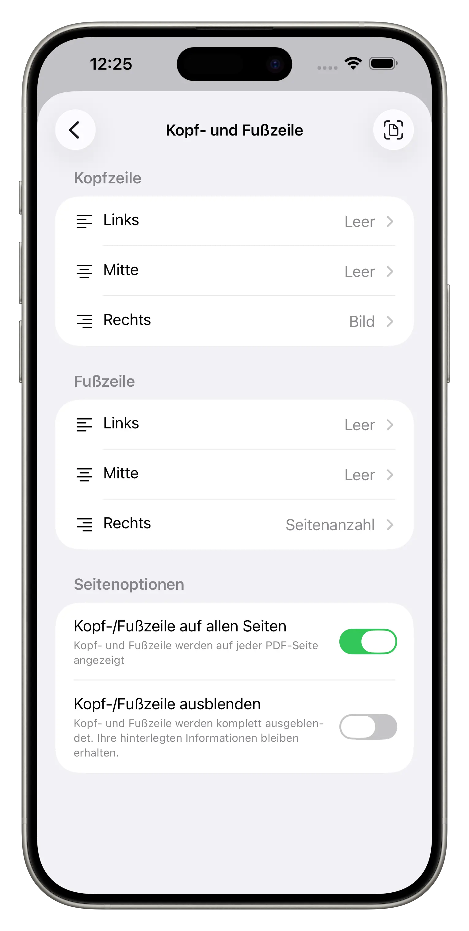 Professionelle PDF-Anpassung iPhone Ansicht 1
